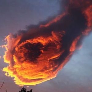 Meet your Posher, Jack